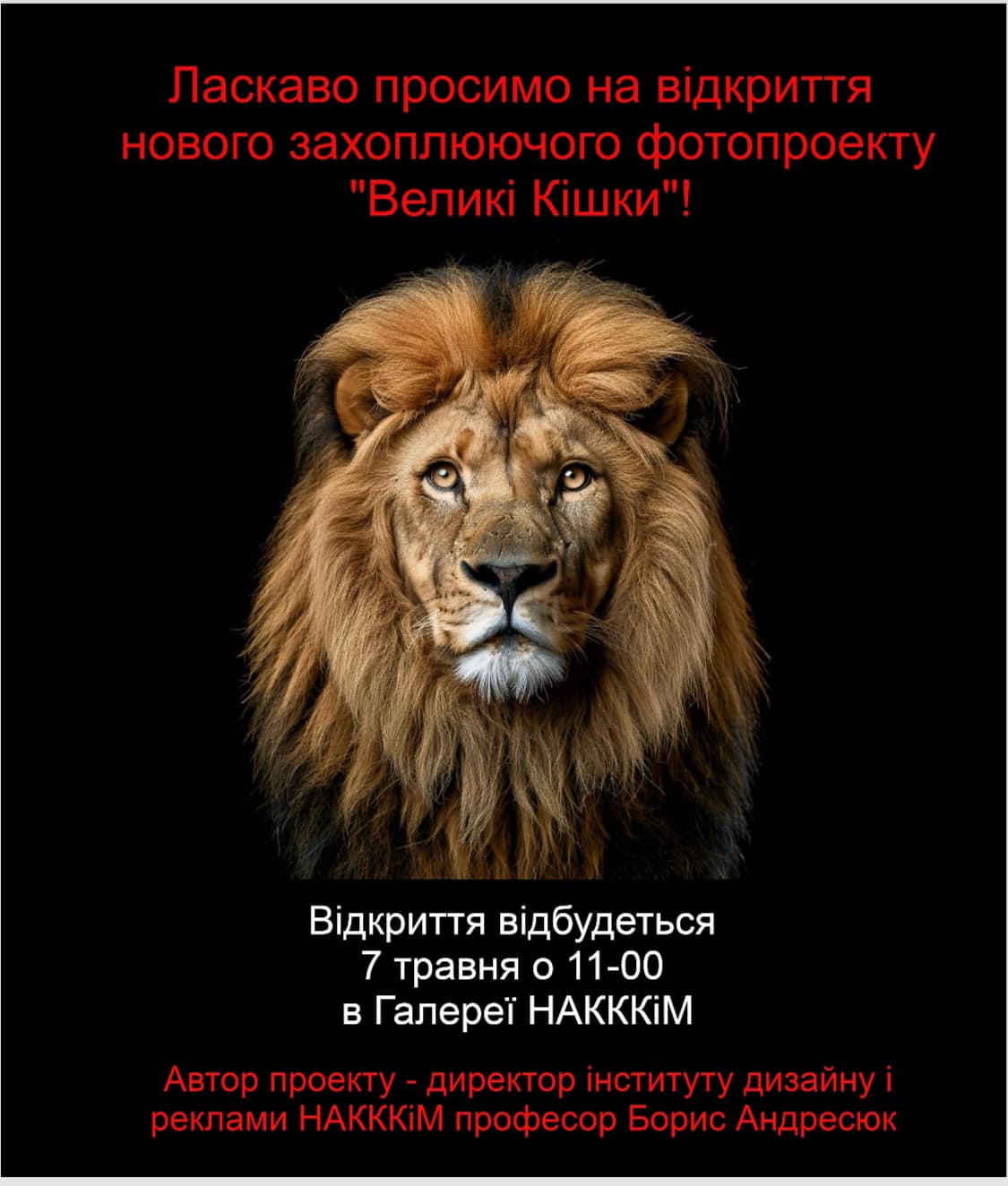 ФОТОПРОЄКТ «ВЕЛИКІ КІШКИ»